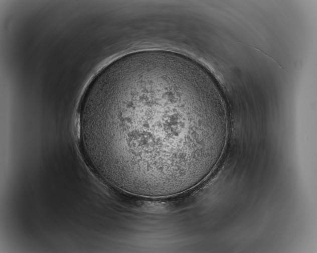 X0000093111509200710101012