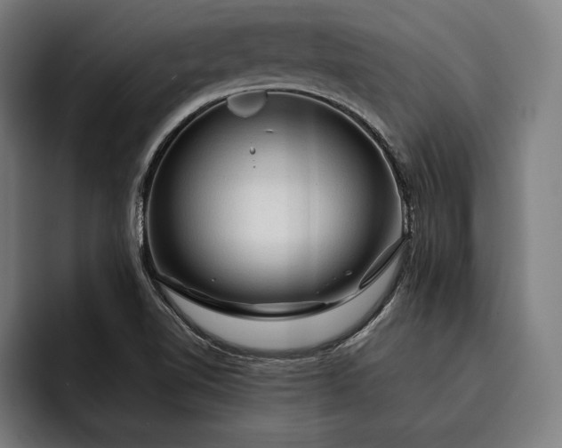 X0000093111510200710101012