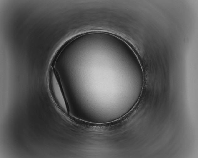 X0000093111511200710101012