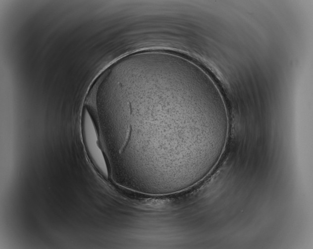 X0000093111513200710101012