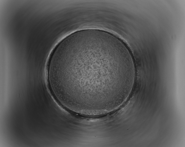 X0000093111517200710101012