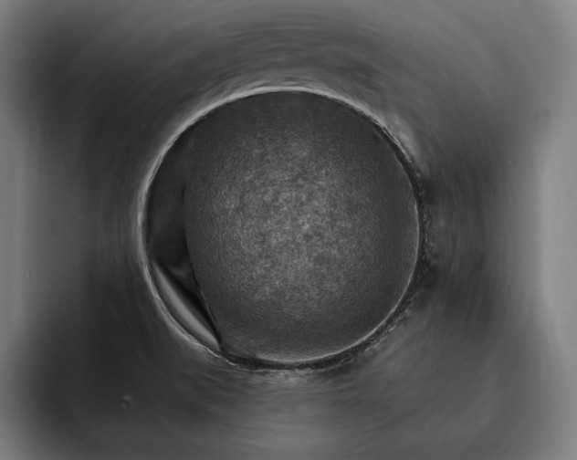 X0000093111519200710101012