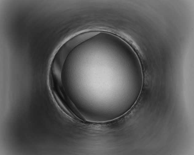 X0000093111520200710101012