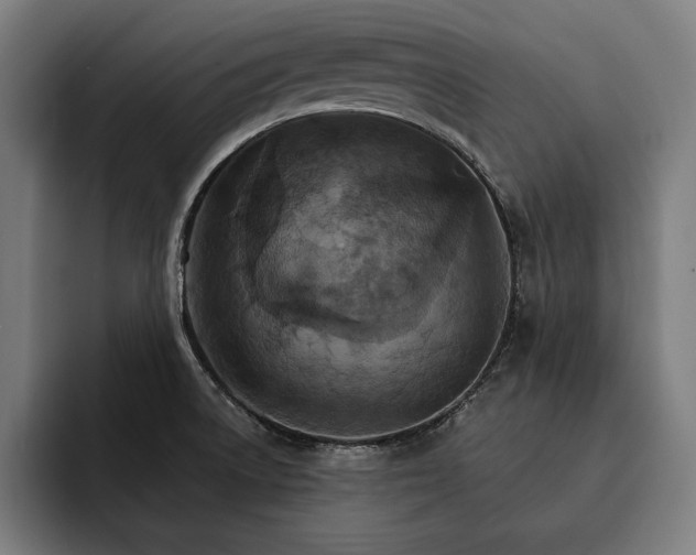 X0000093111522200710101012