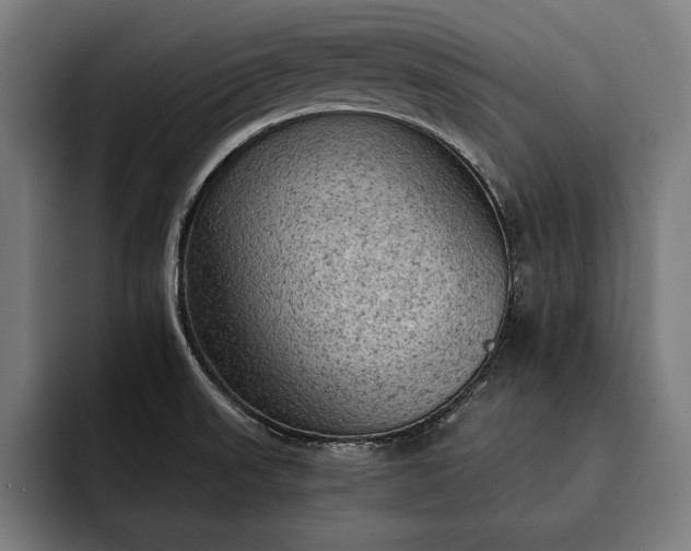 X0000093111523200710101012