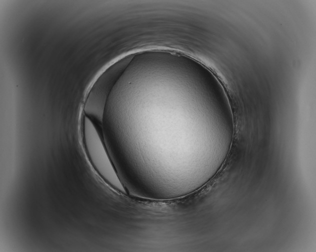 X0000093111524200710101012