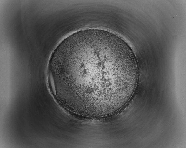 X0000093111525200710101012