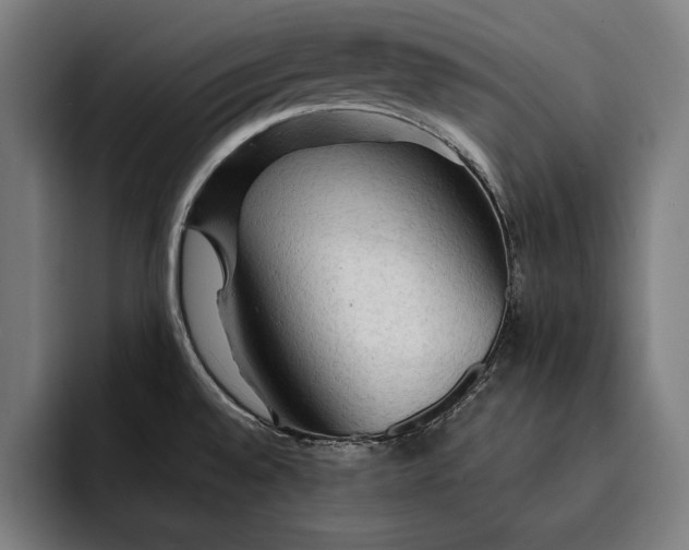 X0000093111528200710101012