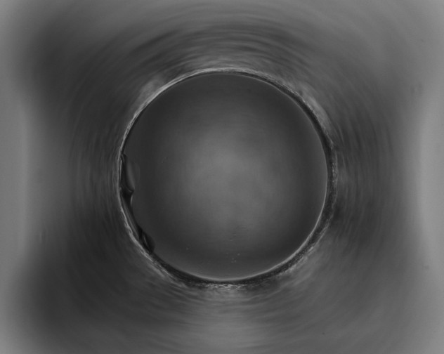 X0000093111529200710101012