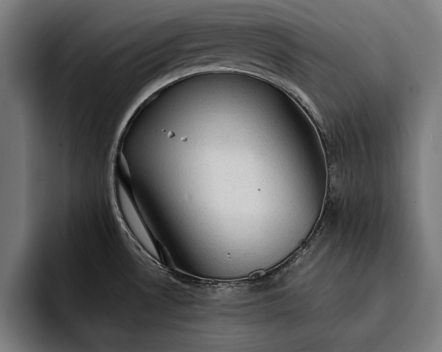 X0000093111530200710101012