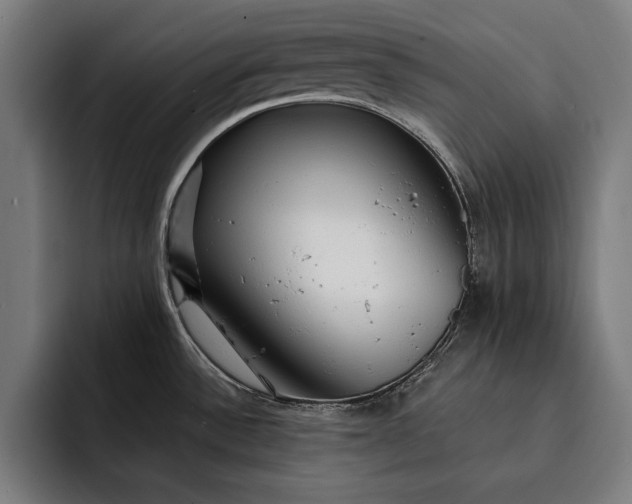 X0000093111532200710101012