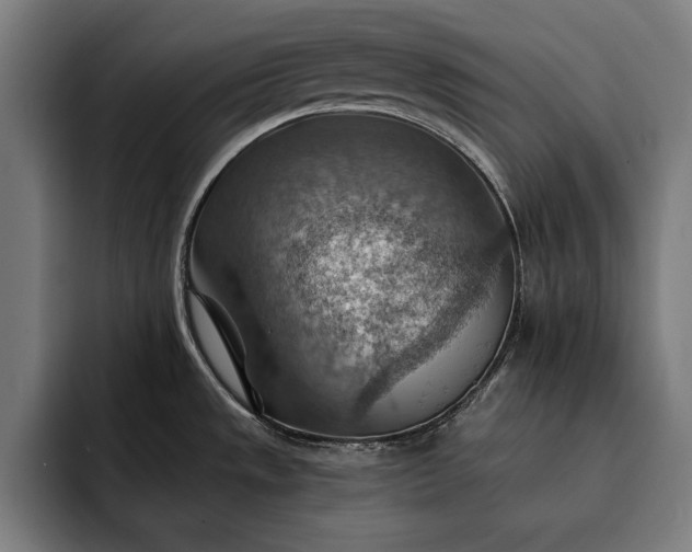 X0000093111533200710101012