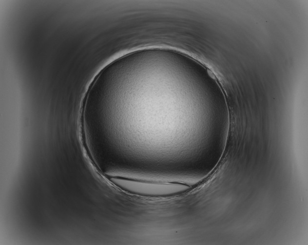 X0000093111534200710101012