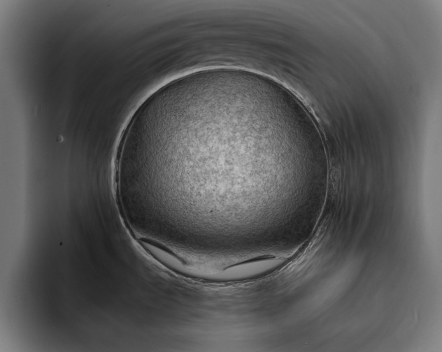 X0000093111535200710101012