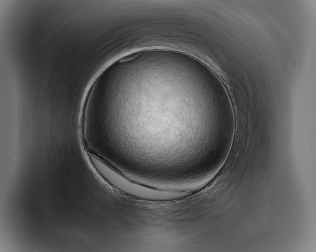 X0000093111536200710101012