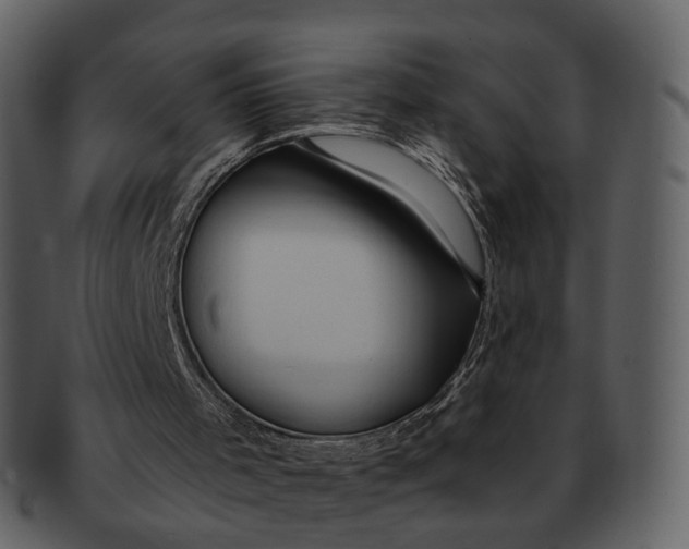 X0000093110001200710171233