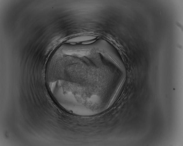 X0000093110002200710171233