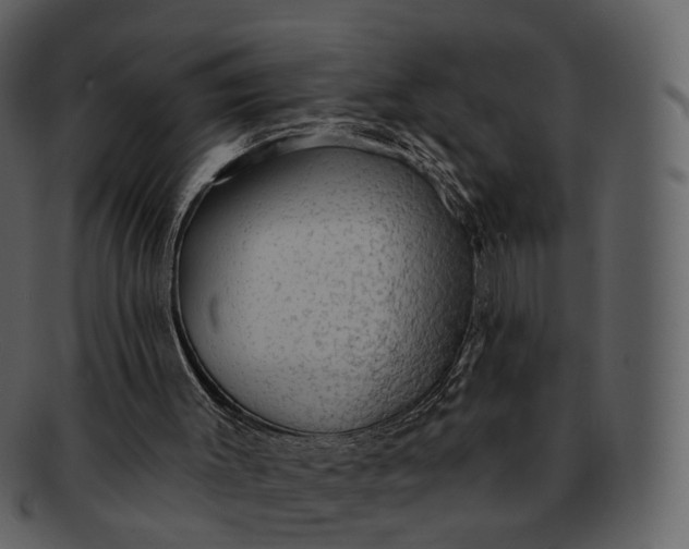 X0000093110003200710171233