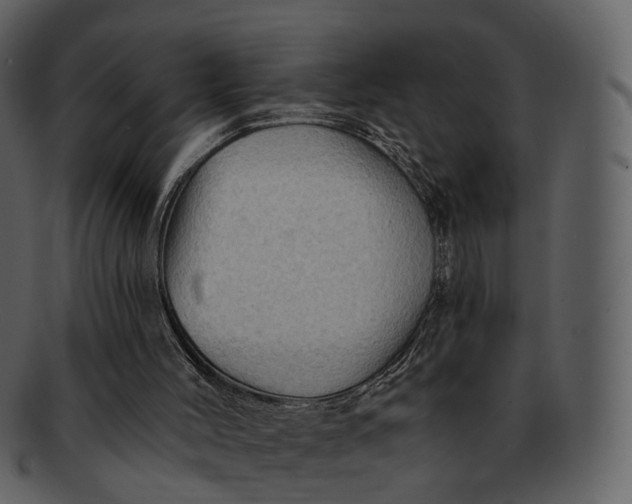 X0000093110004200710171233