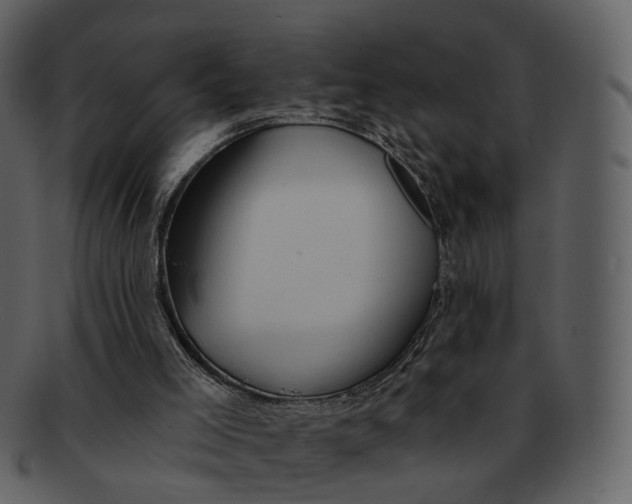 X0000093110005200710171233