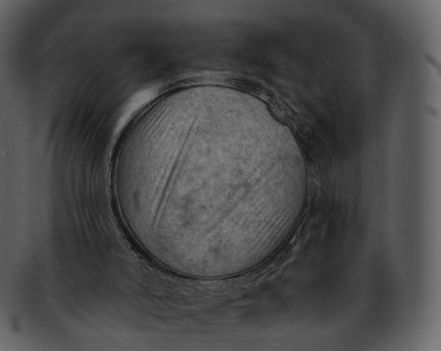 X0000093110006200710171233