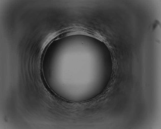 X0000093110007200710171233