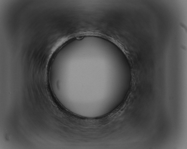 X0000093110008200710171233