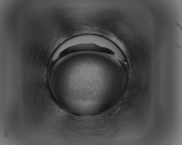 X0000093110009200710171233