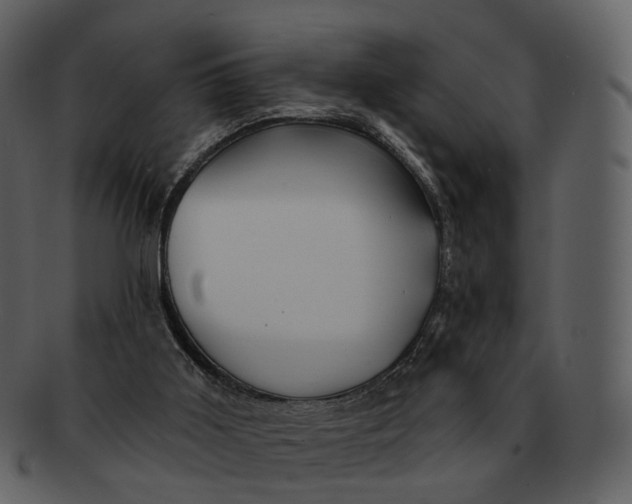 X0000093110011200710171233