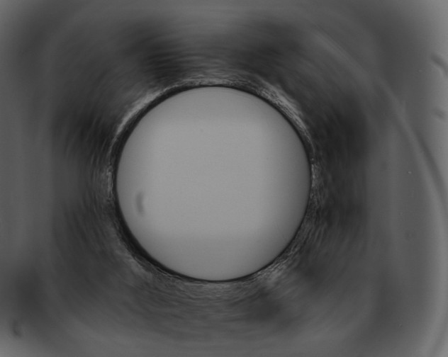 X0000093110012200710171233