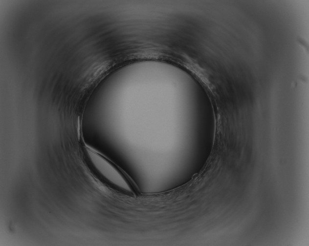 X0000093110013200710171233