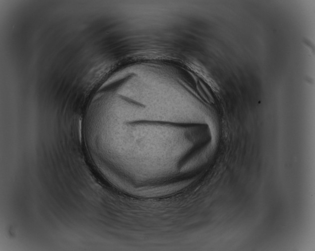 X0000093110014200710171233