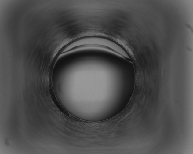 X0000093110015200710171233