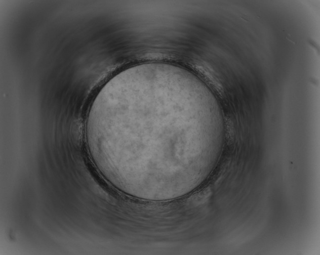 X0000093110016200710171233