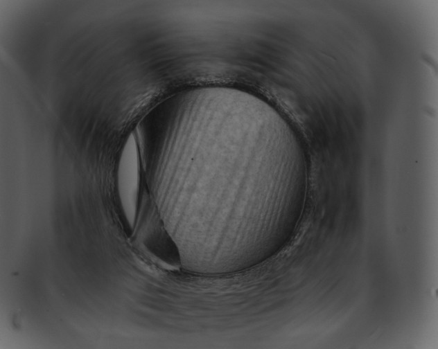 X0000093110017200710171233