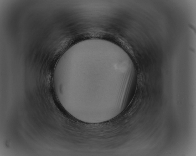 X0000093110018200710171233