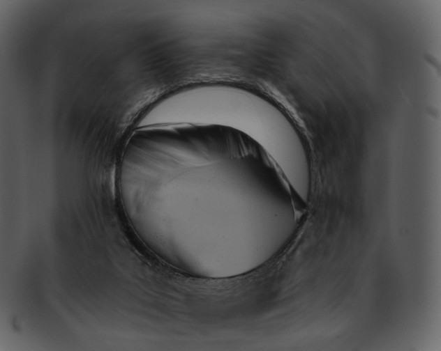 X0000093110019200710171233