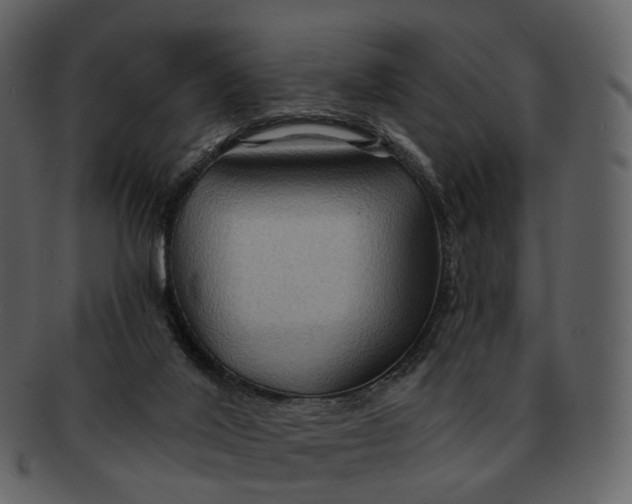 X0000093110020200710171233