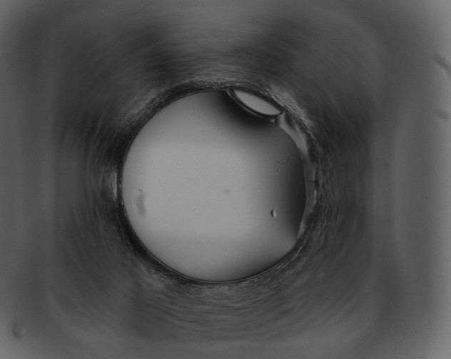 X0000093110021200710171233