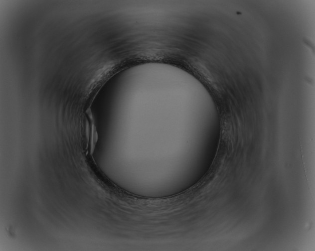 X0000093110023200710171232