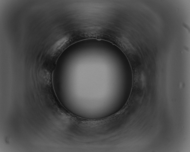 X0000093110025200710171232