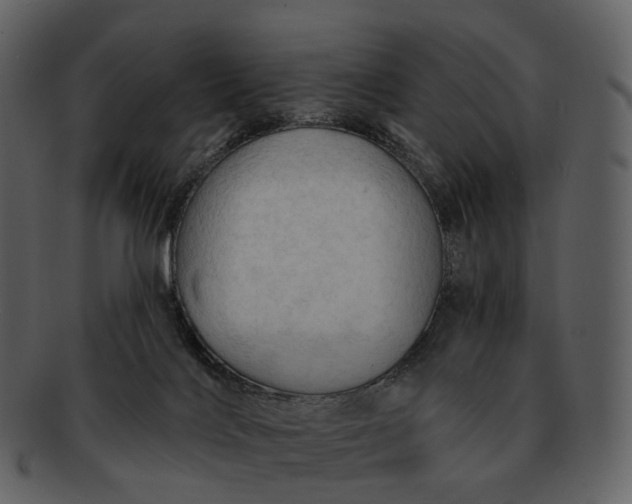 X0000093110028200710171232