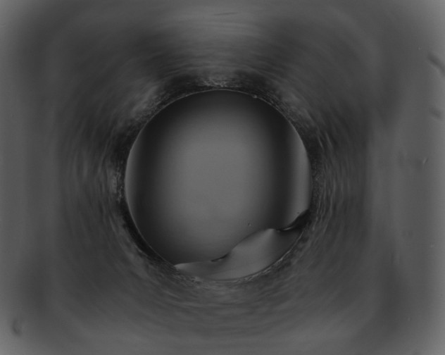 X0000093110031200710171232