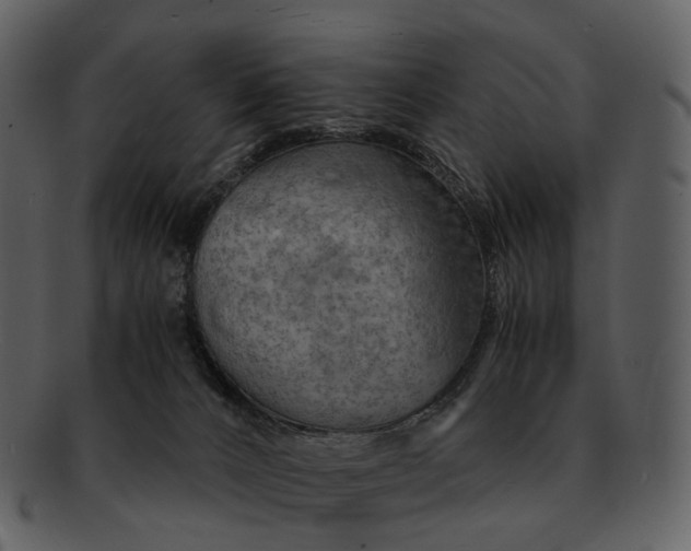 X0000093110032200710171232