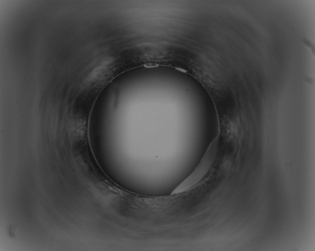 X0000093110033200710171232