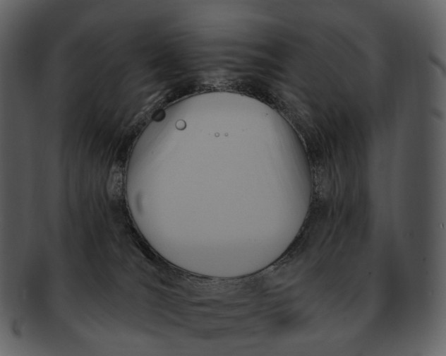 X0000093110036200710171232