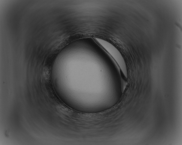 X0000093110037200710171232