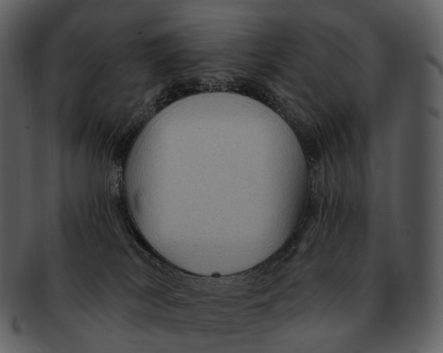 X0000093110038200710171232