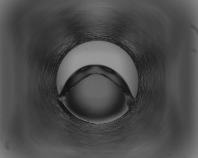 X0000093110039200710171232