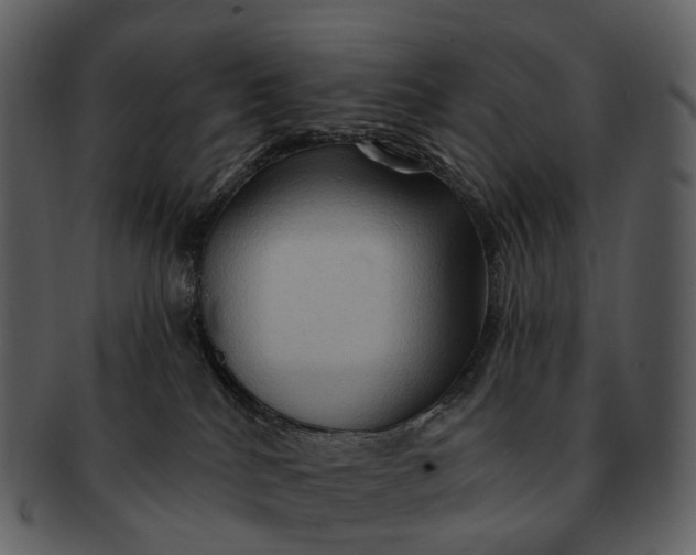 X0000093110040200710171232